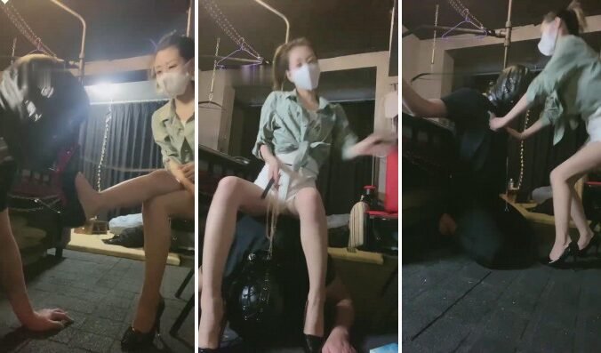 西柚 · 资源封面