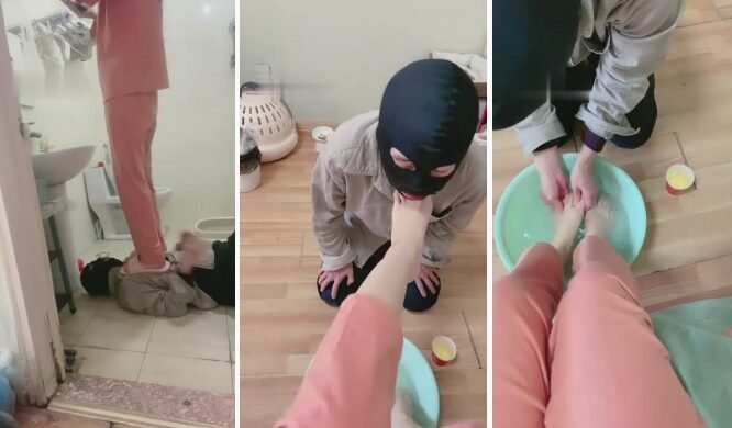 罗宾 · 资源封面