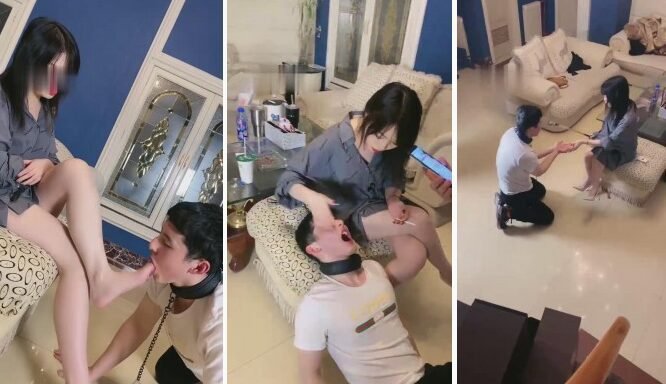 稚S回放封面