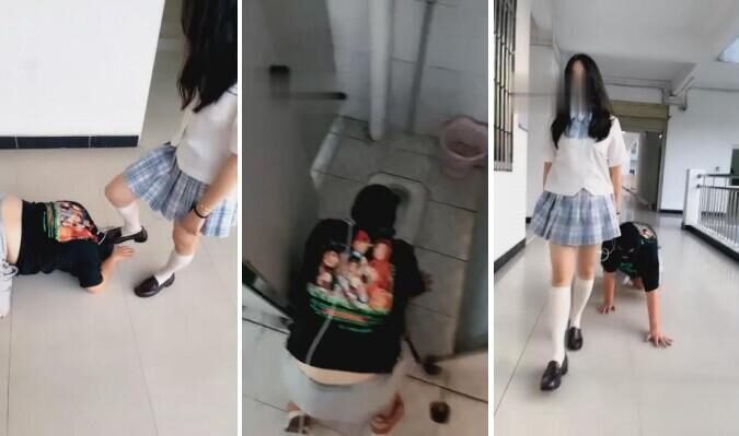 强抚 · 资源封面