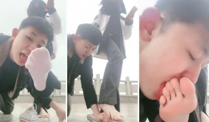 强抚 · 资源封面
