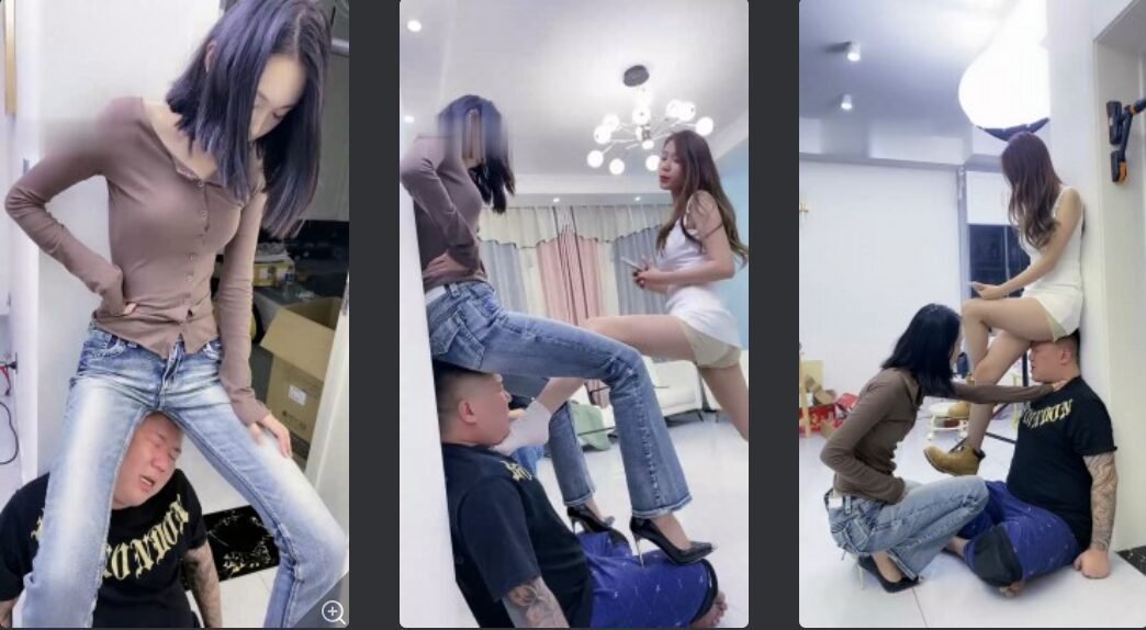 麋鹿银儿回放封面