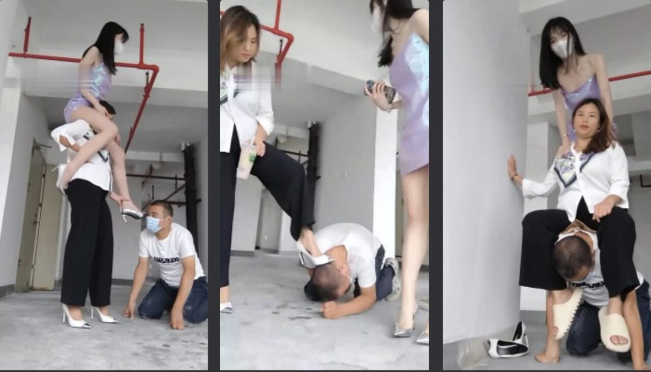 暴力美学 · 资源封面