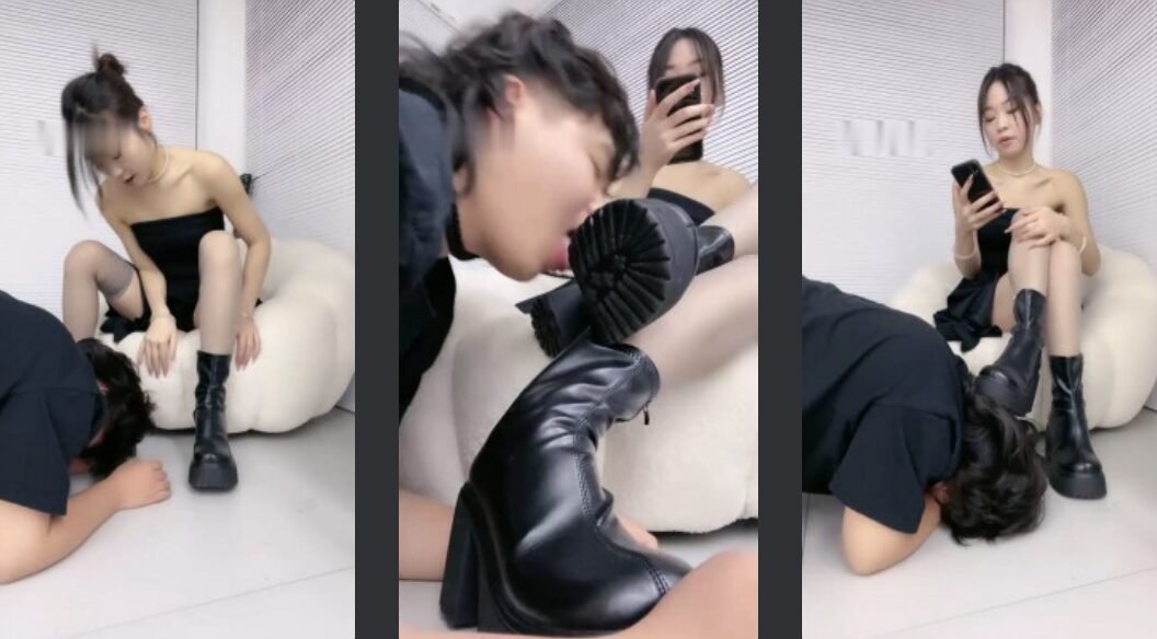 cc.s回放封面