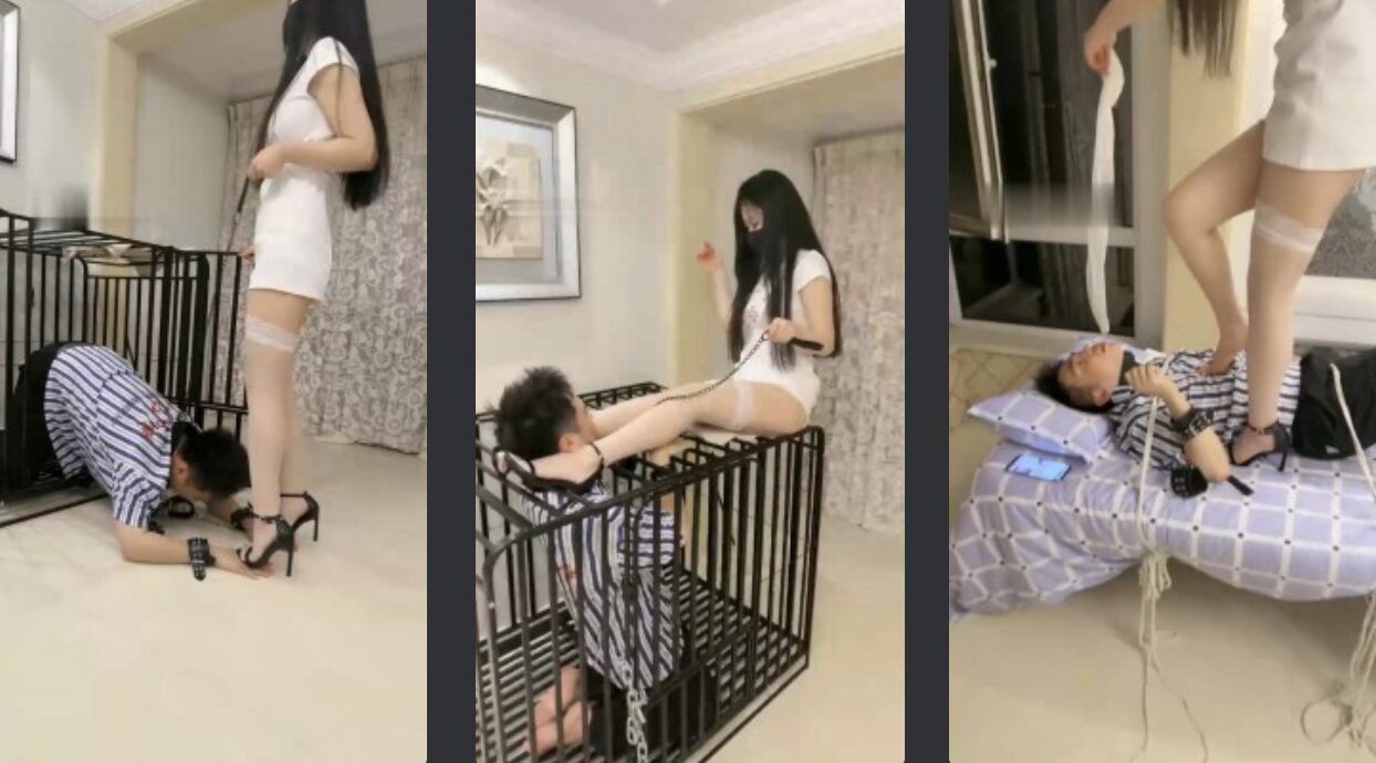桃幼幼回放封面