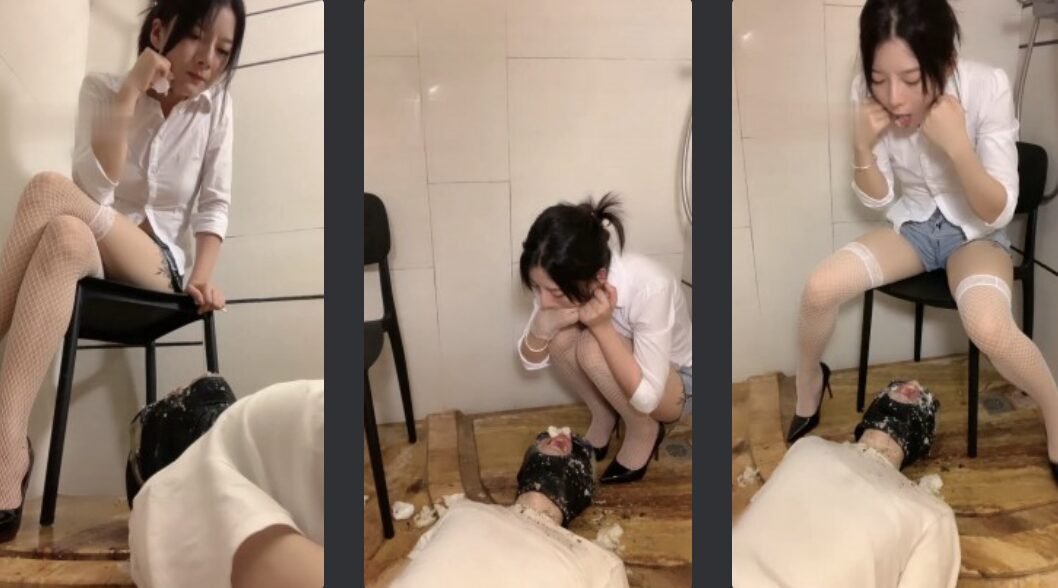 宝爷回放封面