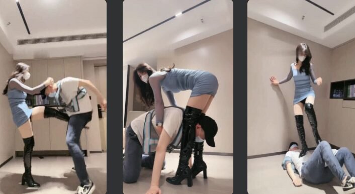 禾未回放封面