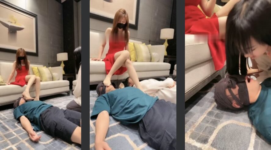 美美子 · 资源封面