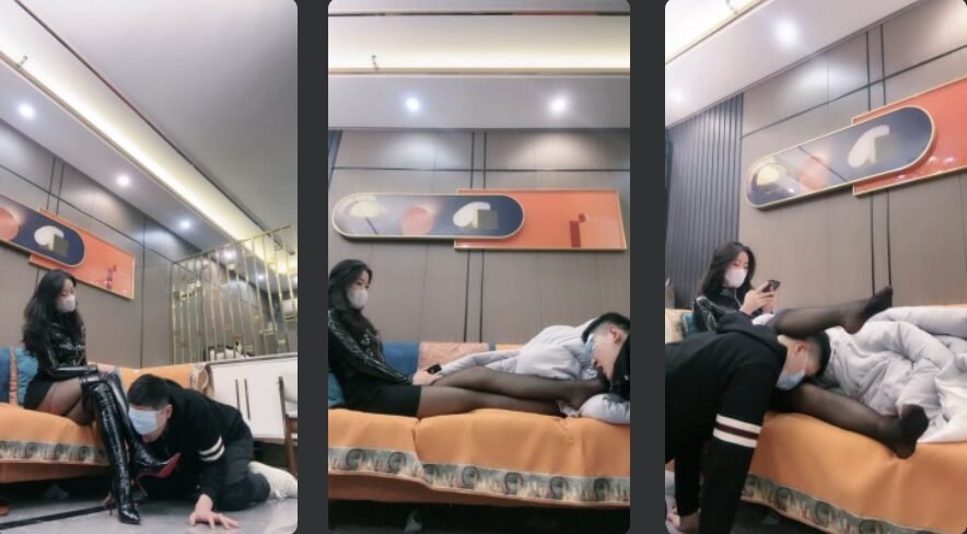 禾未回放封面