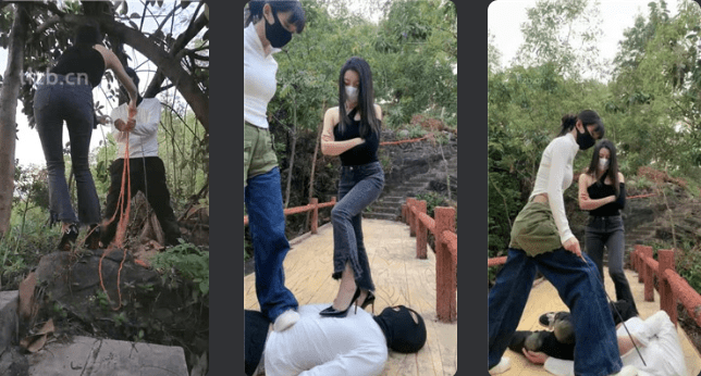 暴力美学 · 资源封面