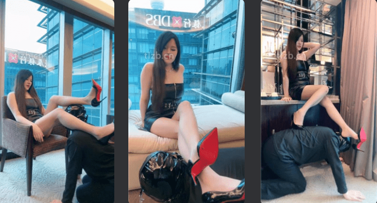 琪琪大人 · 资源封面