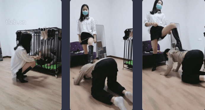 凌儿 · 资源封面