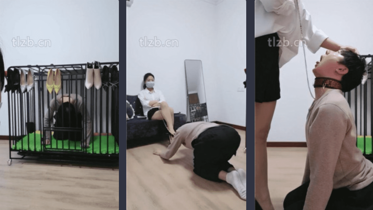 凌儿 · 资源封面