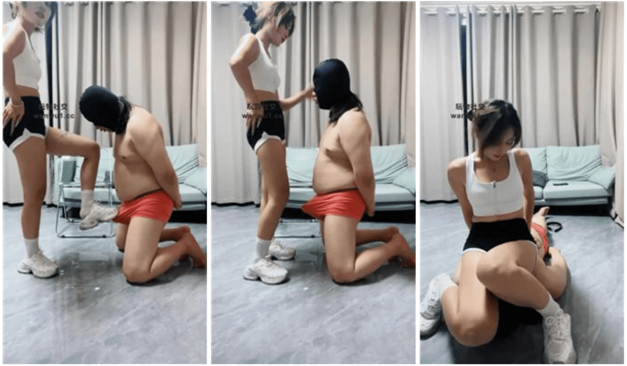 橙子 · 资源封面