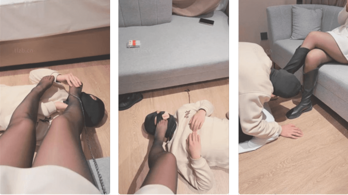 赵奈奈 · 资源封面