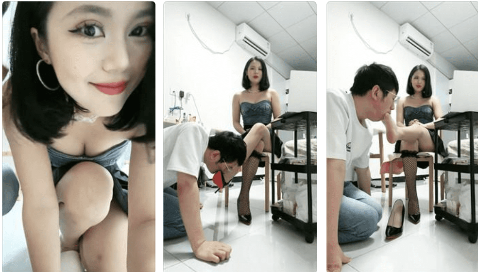 栀子女王 · 资源封面