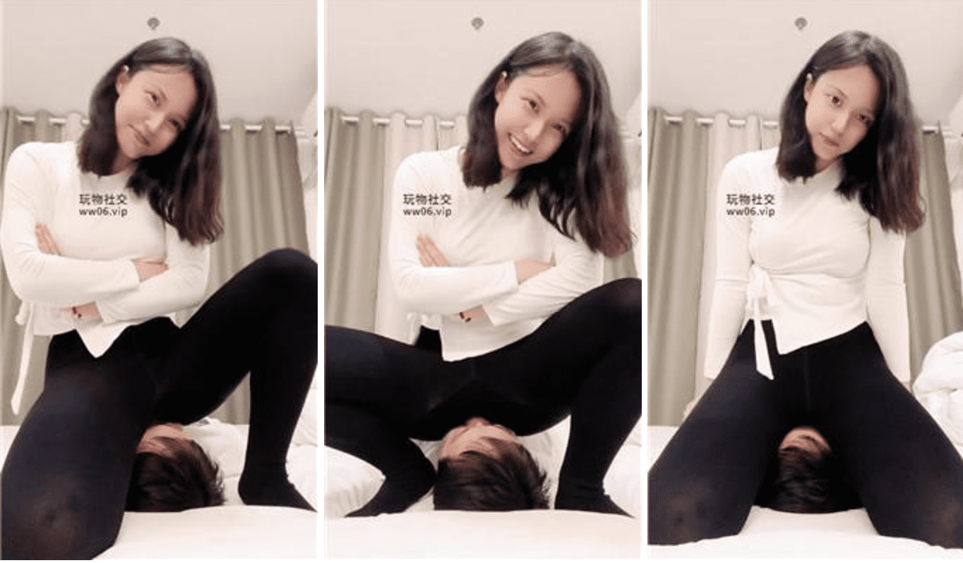 栀子女王 · 资源封面