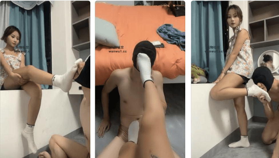 橙子 · 资源封面