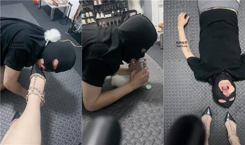 甜心教主 · 资源封面