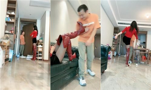 爱丽丝回放封面