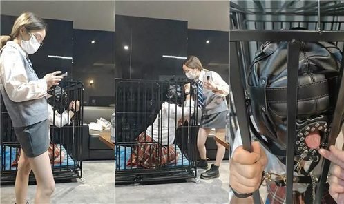 陶拉大人回放封面