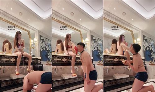 玉兔 · 资源封面