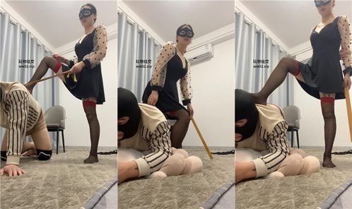 姗姗回放封面