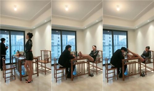 爱丽丝回放封面