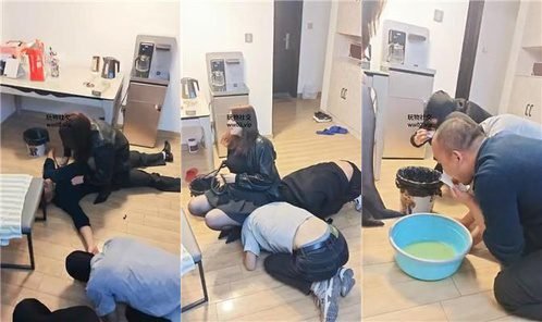 兰州苏苏 · 资源封面