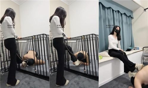白栀回放封面