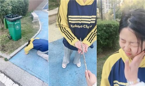 小凤梨 · 资源封面