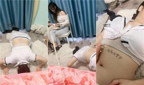 小凤梨回放封面