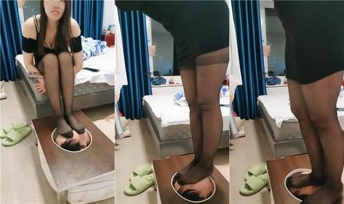 紫苏回放封面