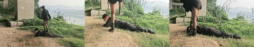 三千女王回放封面