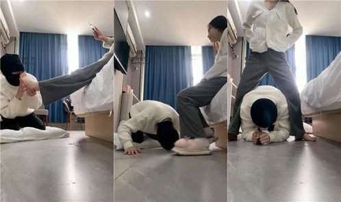 白兔回放封面