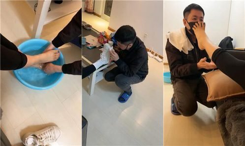 Da猫回放封面