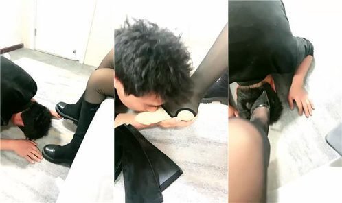 刘二狗回放封面