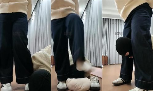 拽拽回放封面