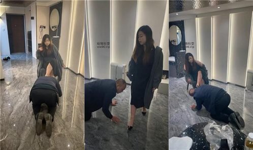 月喧女王回放封面
