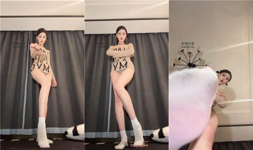丝主回放封面