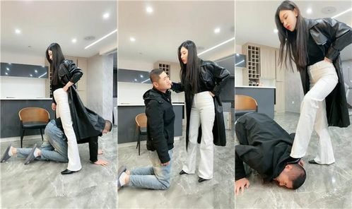 麋鹿银儿回放封面