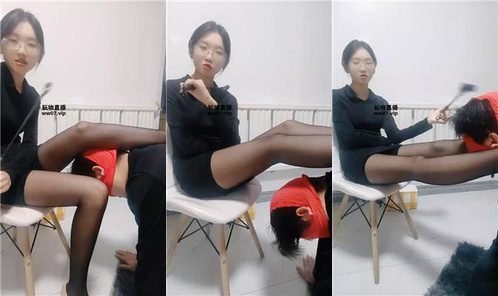 鹿S回放封面
