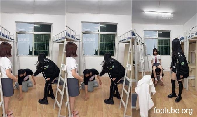 也狗 · 资源封面